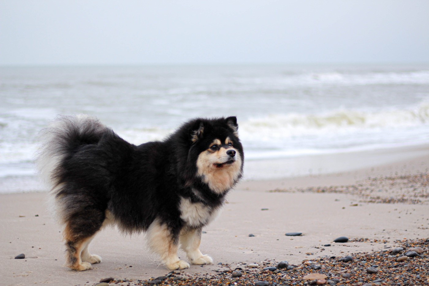 Tellement joyeuse Du Bonheur Arc-en-ciel